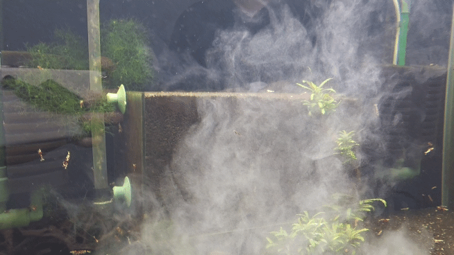 388beb673bdafc602dd5a85db0b43a58_1693372588_6492.gif