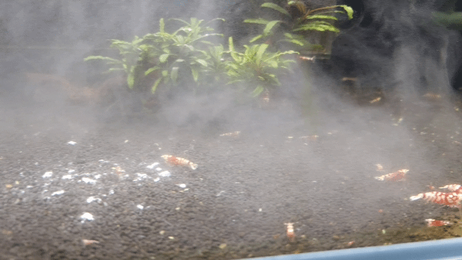 388beb673bdafc602dd5a85db0b43a58_1693372757_2291.gif