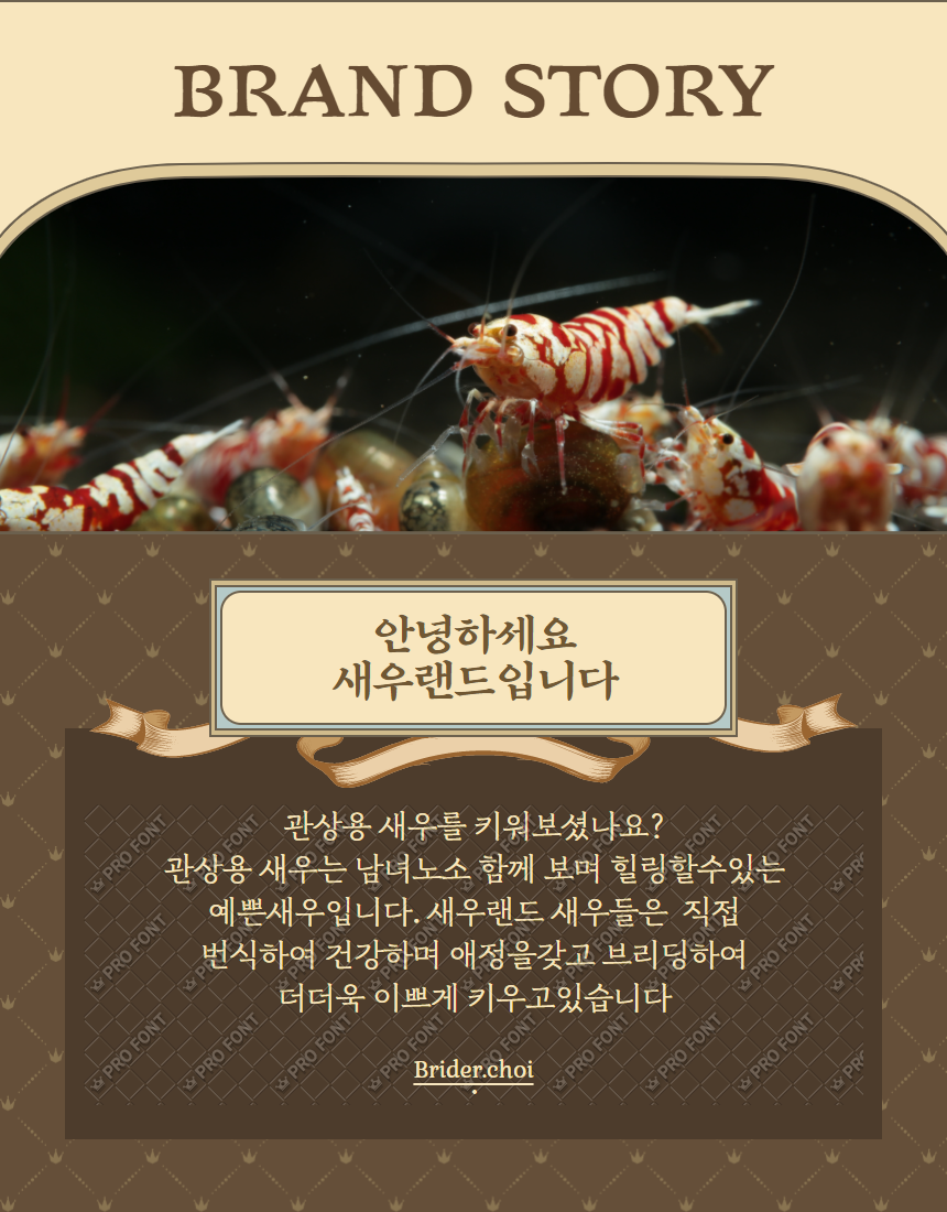 092f6db97f74c158636eecbe2bc9b4a5_1694333893_7839.png
