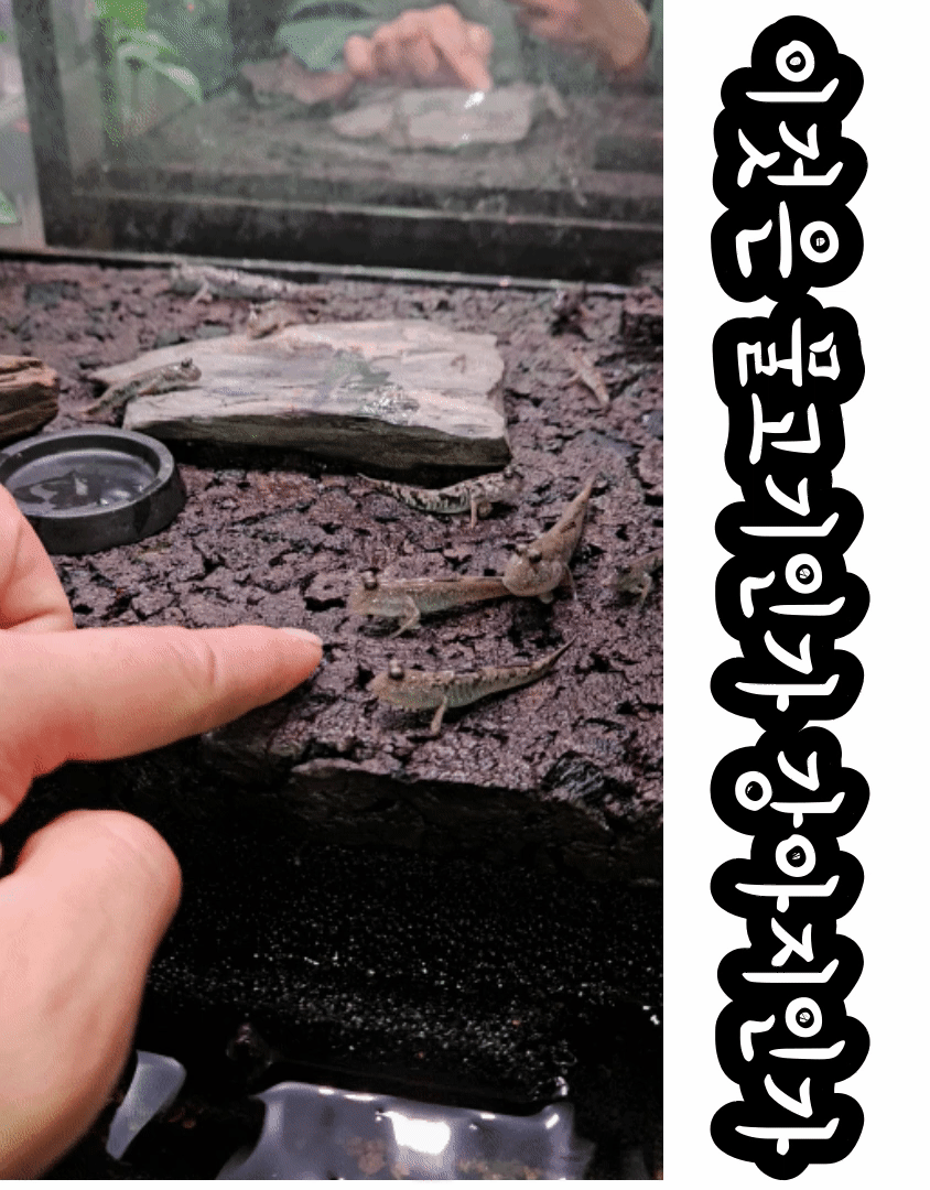 9dc575fa30e31e4a88858b03843ef43b_1698577092_9599.gif