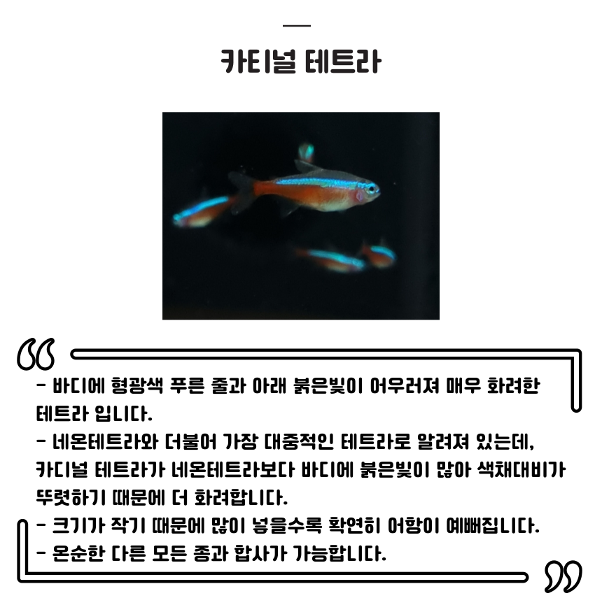 f9917bd59b6f326b5707e57c34c24819_1734969988_0447.png