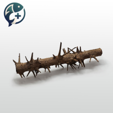 가시나무 유목S(25cm)